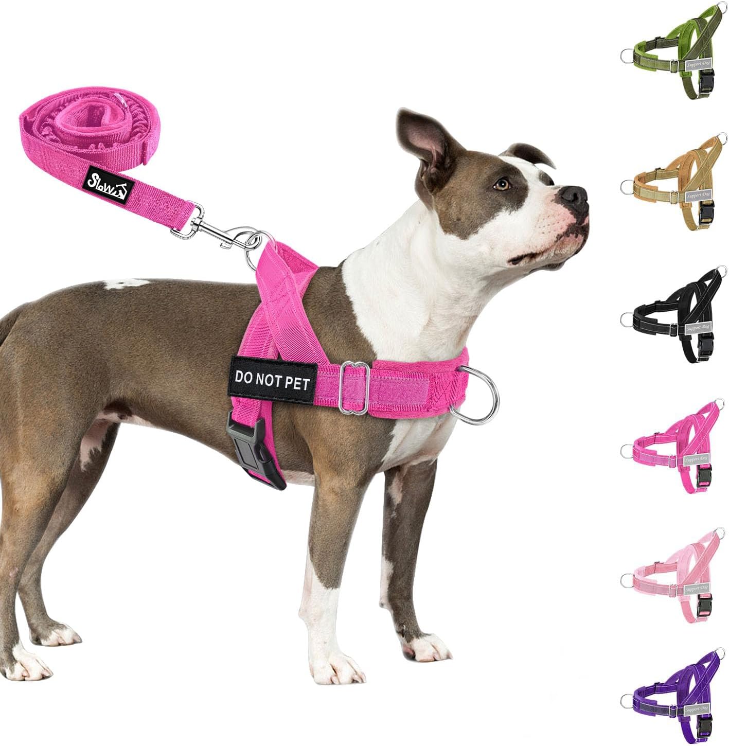 Detalle de Eyein Hundegeschirr mit Leine für große bis mittelgroße Hunde – Weiche Pufferung, Reflektierend, 2 Leinenclips, Magenta, Größe M