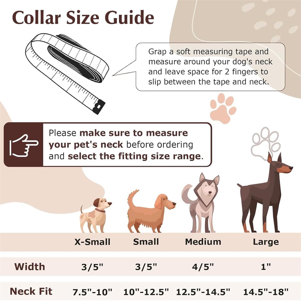 Detalle 2 de Spiked Dog Collar in PU Leather