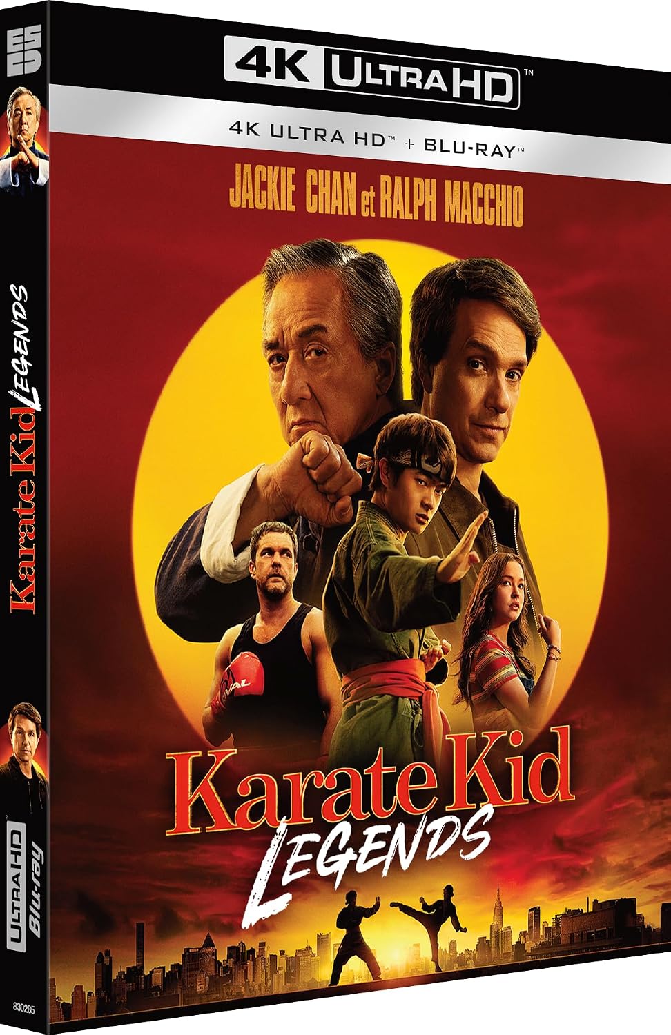 Detalle de Karate Kid Legends: jeu vidéo