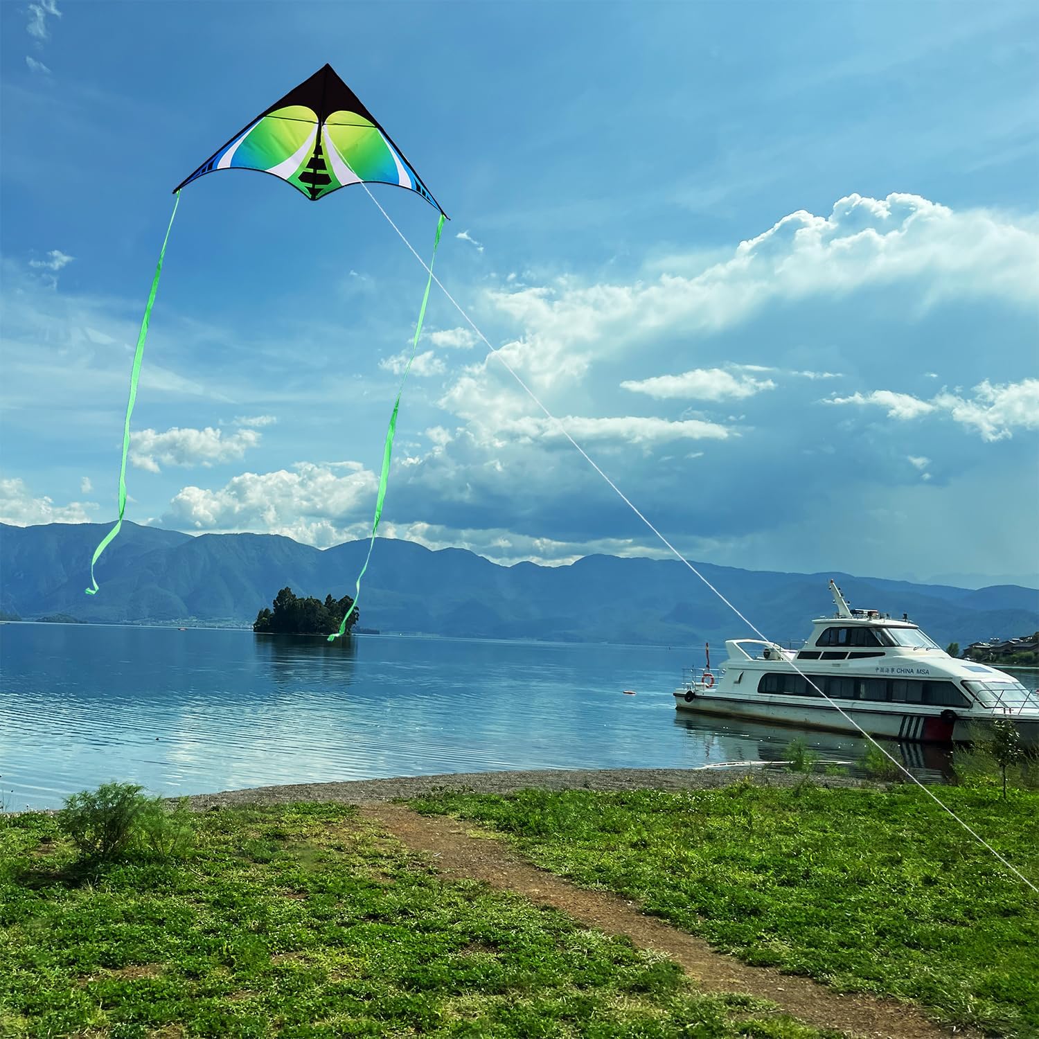 Detalle de HONBO Large Delta Kite for Kids and Adults – Beach Fun with 200ft Line
