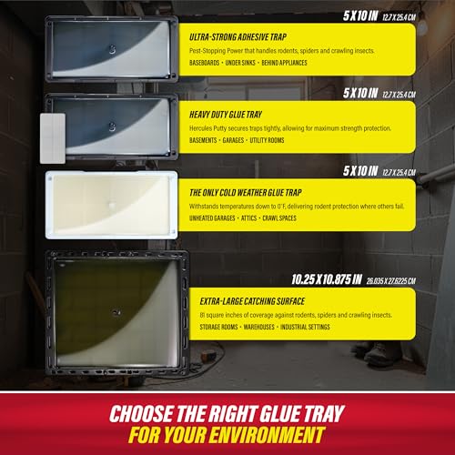 Thumbnail 1 de Catchmaster Rat, Snake and Mouse Traps 10Pk: Odorless, Disposable Glue Traps for Home and Garage