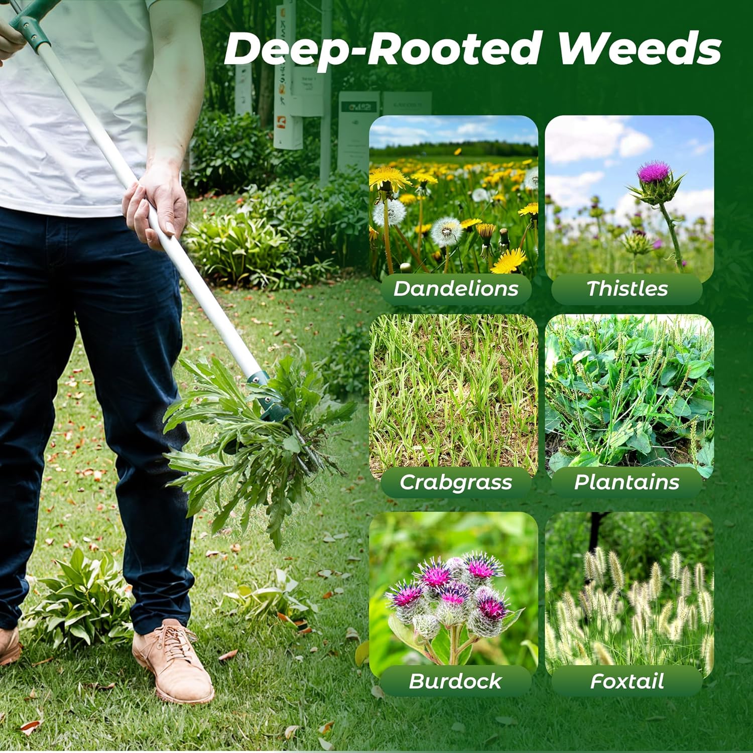 Thumbnail 6 de Walensee Weed Puller stand-up weeder with 3 claws and long handle