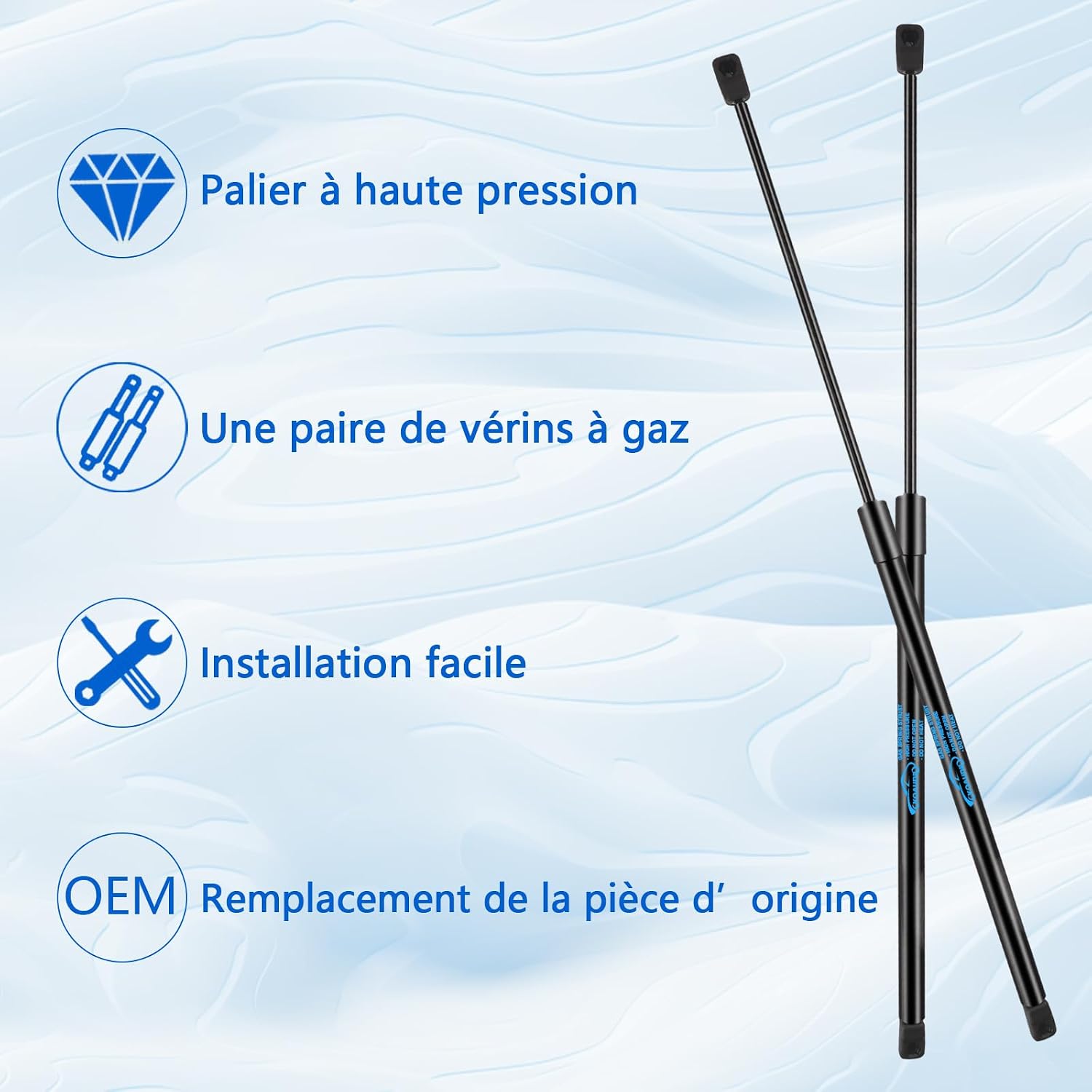 Detalle 2 de Koaudb Rear Tailgate Gas Struts GLC