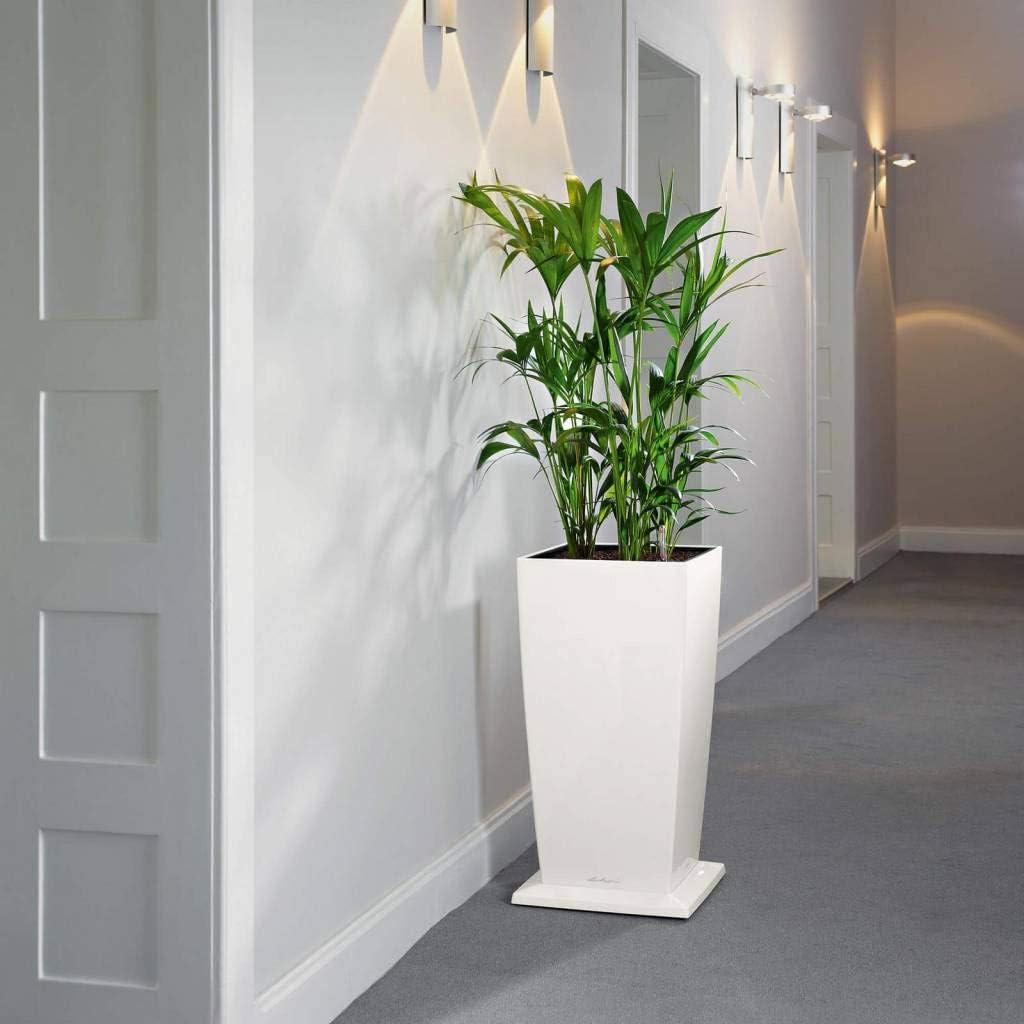 Thumbnail 1 de LECHUZA Base Rotolabile Cubico 30 bianca 13425