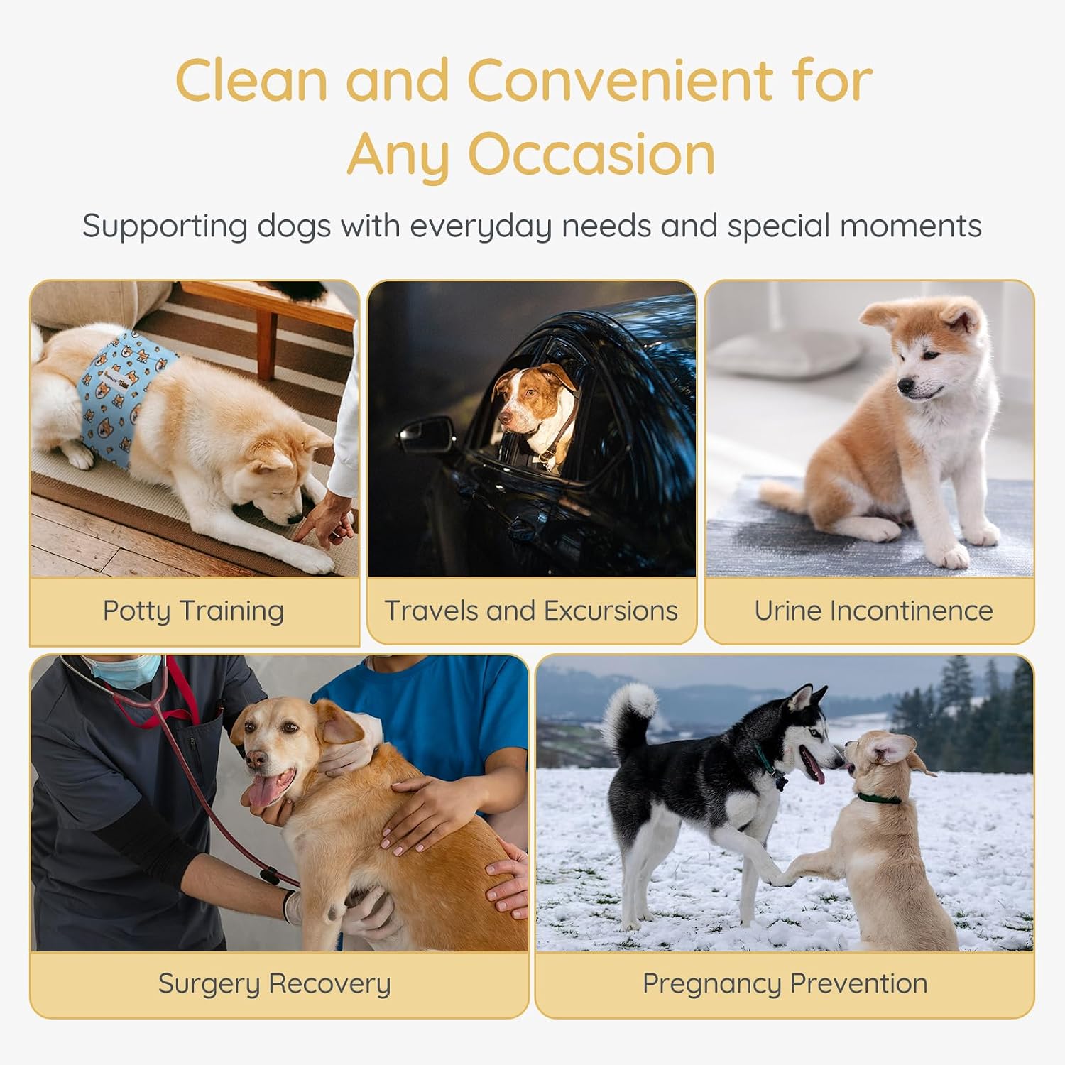 Detalle de Bella & Pal Belly Bands for Male Dogs (3 Pack) – Reusable, Washable Nappies for Small Dogs