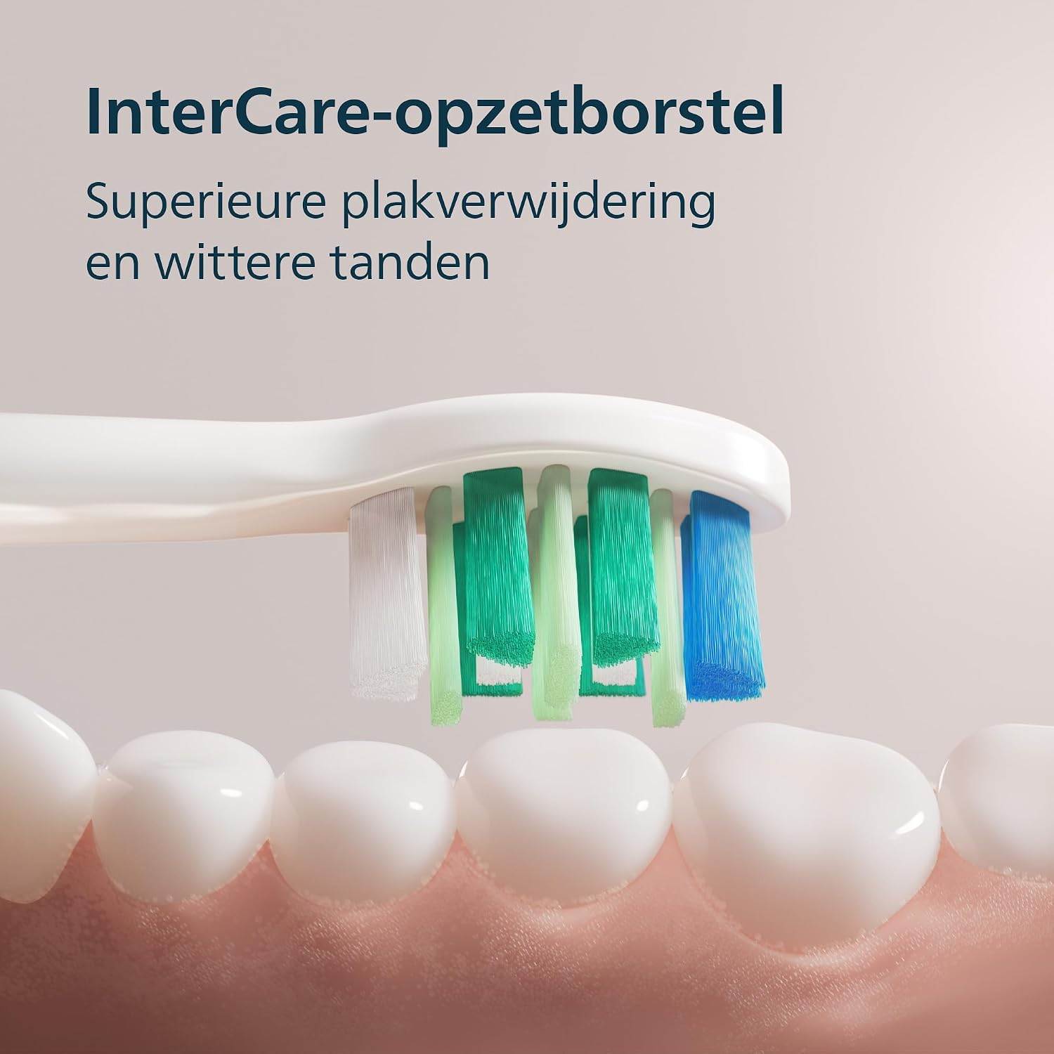Detalle de Philips Sonicare 2000 HX4021/01 sonische tandenborstel met 2 intensiteiten, EasyStart en SmarTimer