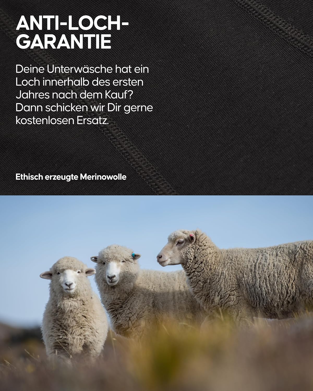 Detalle de DANISH ENDURANCE Merino Boxershorts Herren (2er Pack) – Geruchsneutral, schweißableitend & atmungsaktiv
