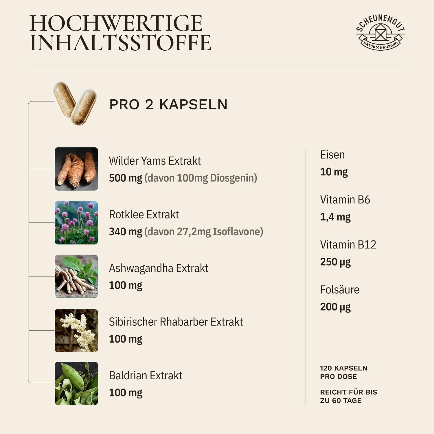 Detalle 2 de MENO INTENSO Yamswurzel Kapseln 60 Tage