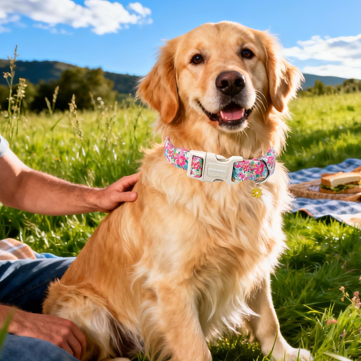 Detalle 1 de DOGWONG Dog Collar, Small
