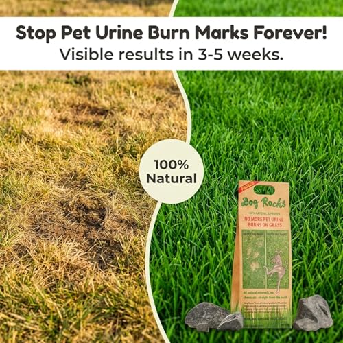 Detalle de Dog Rocks Urine Patch Preventer (200g) – Natural Urine Burn Patch Repair for Lawns