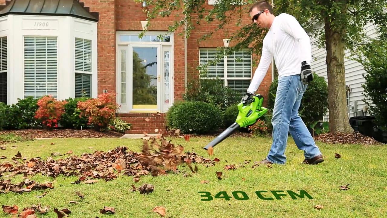 Detalle 1 de Greenworks 40V Leaf Blower and Vacuum