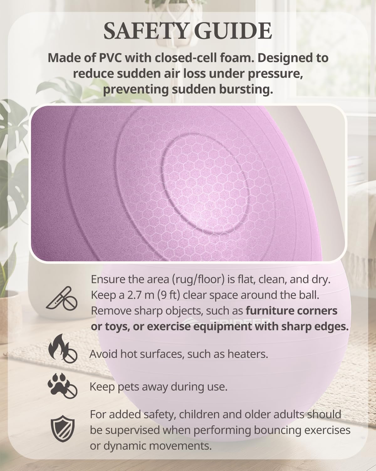 Detalle 1 de Trideer TRUS-6601SBMA65B Exercise Ball, 65 cm, Non-Slip PVC, Pump Included