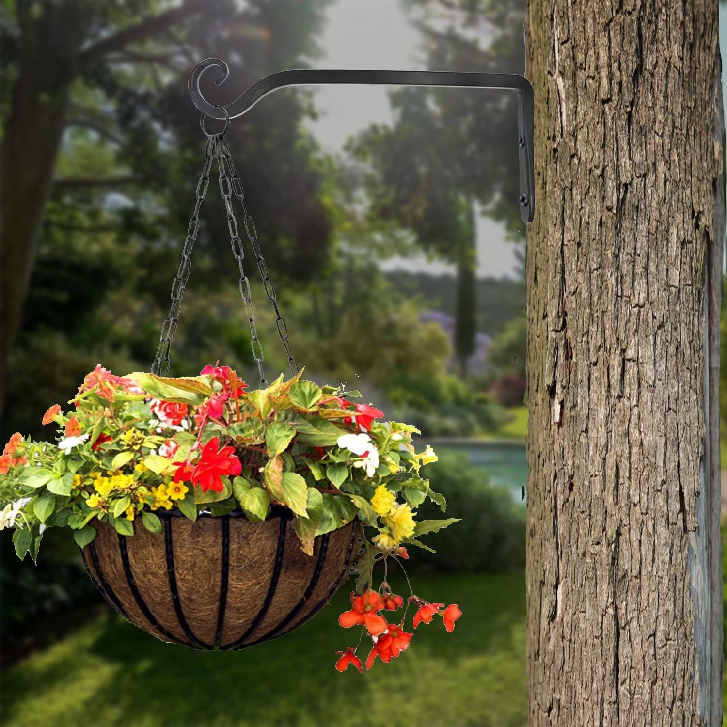 Detalle de LOOGI Pflanzenhalterung & Blumenampelhalter aus Eisen mit Wandhaken, 25 cm – 2 Stück