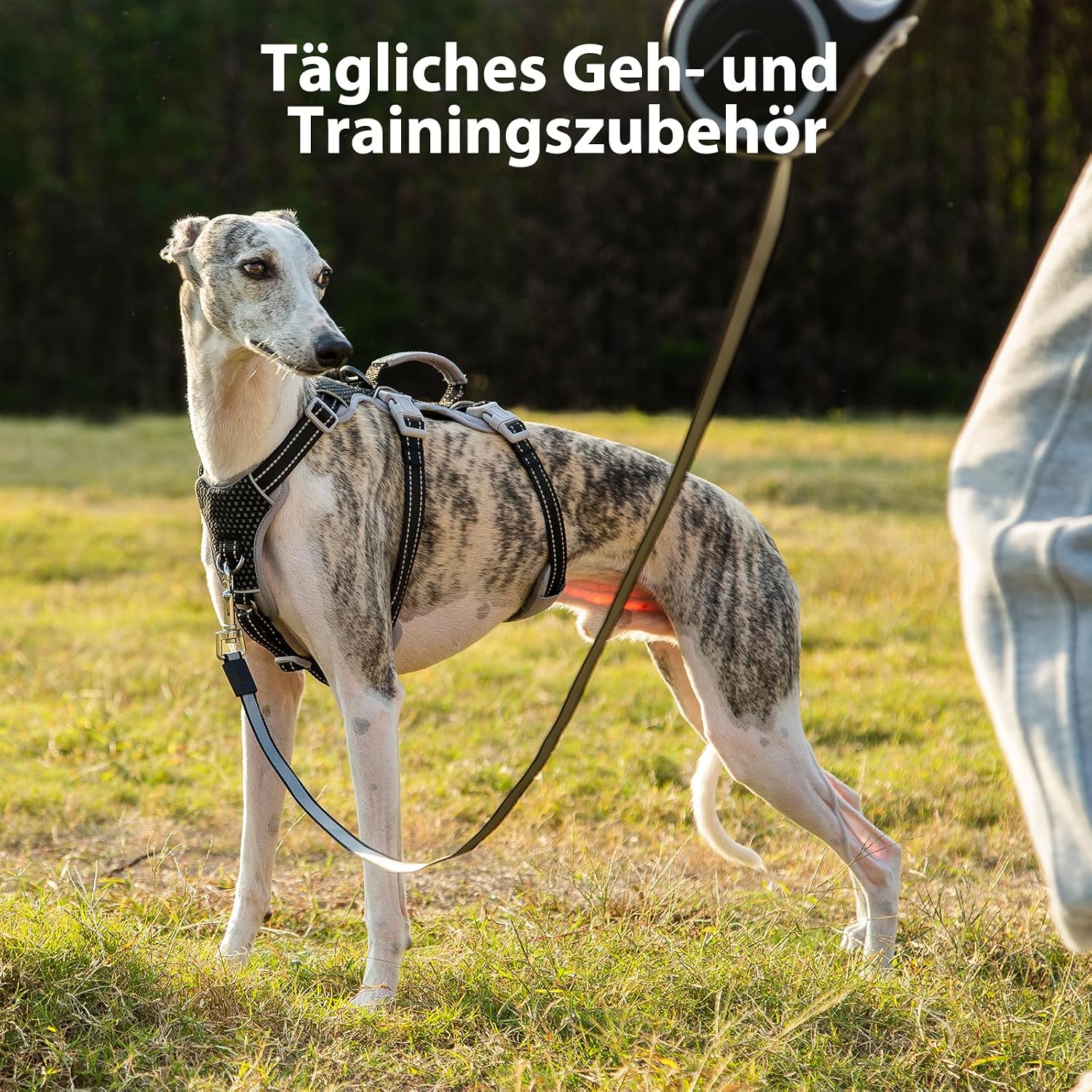 Thumbnail 6 de Huntboo Hunde-Sicherheitsgeschirr (ausbruchssicher), reflektierend, mit Griff – Größe M, Schwarz