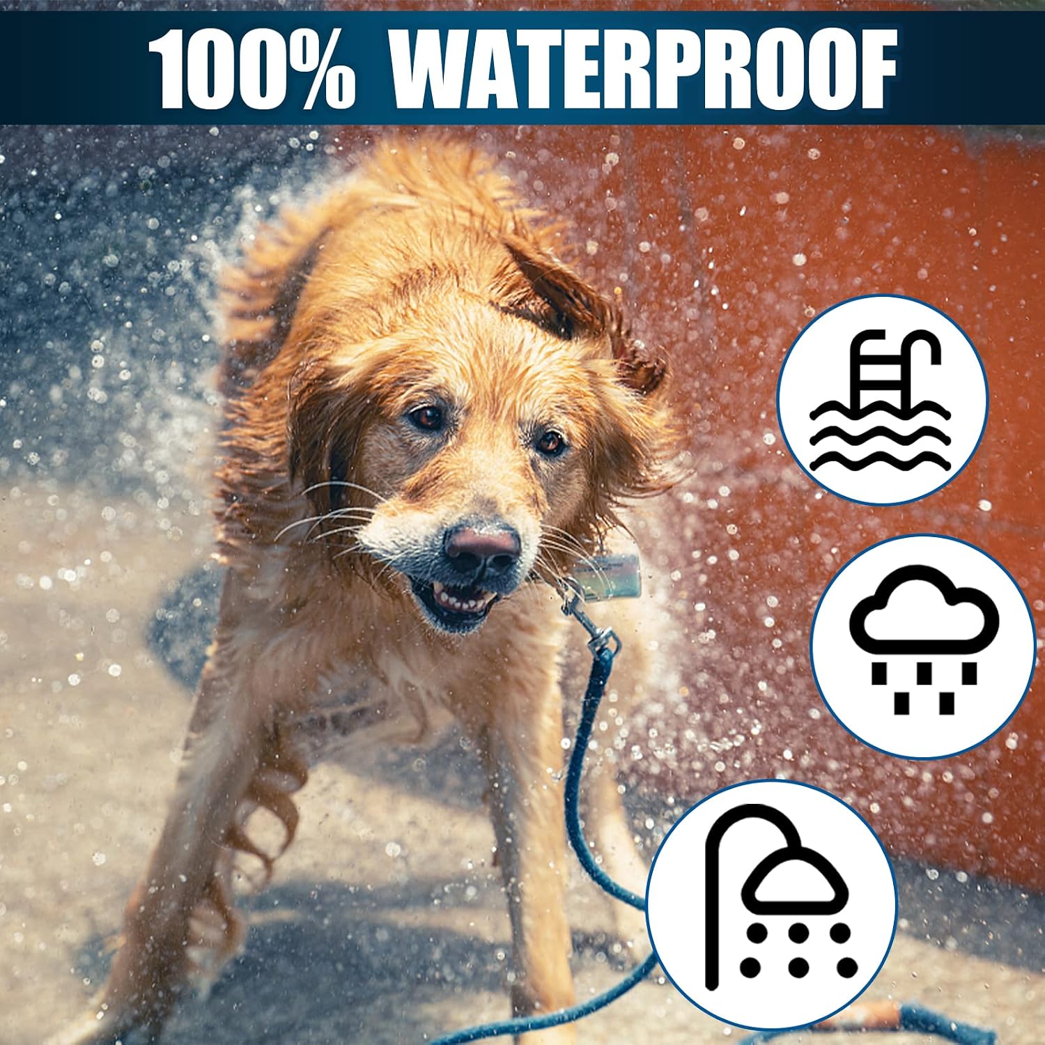 Thumbnail 3 de PROZADALAN [2 PCS] Collare Antipulci per Cane, 65 cm, Formula Naturale e Lavabile