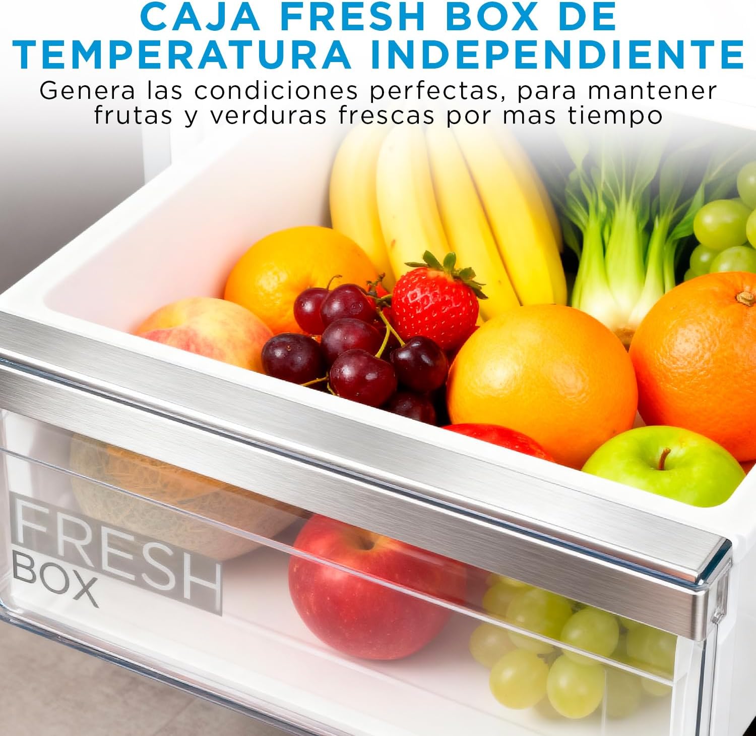 Thumbnail 4 de MIDEA Frigorífico Combi No Frost 270L Inox 🍏