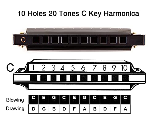 Detalle de Eastrock 10 Trous Harmonica Diatonique en Do – Noir, parfait débutant