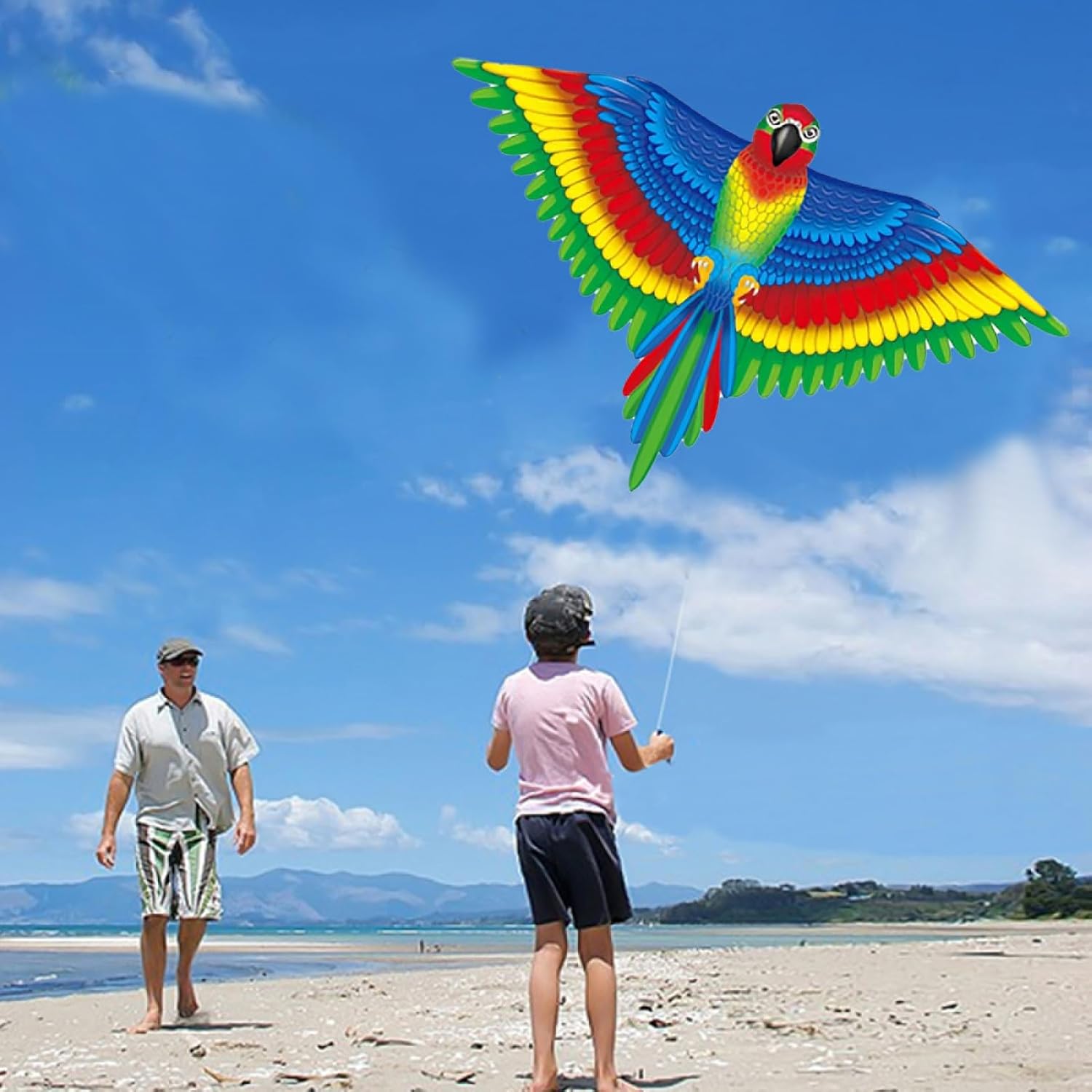 Thumbnail 3 de Large Parrot Kite 53x38 Inch – Colourful Single Line Kite with Long Tail and Winding Handle