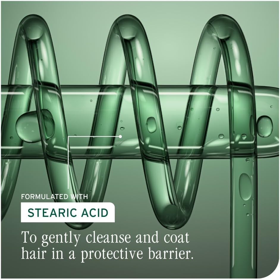 Thumbnail 5 de Biolage Color Last Conditioner for colour-treated hair