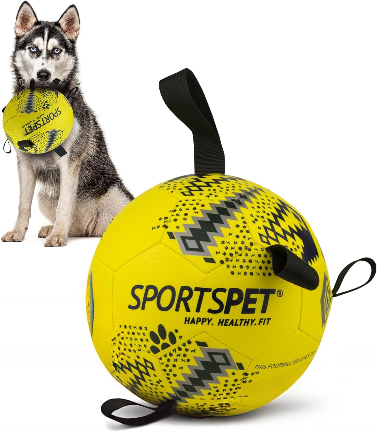 Thumbnail 6 de SPORTSPET Dog Football with Grab Tabs (Small, Multicolour) – Durable PU interactive water toy