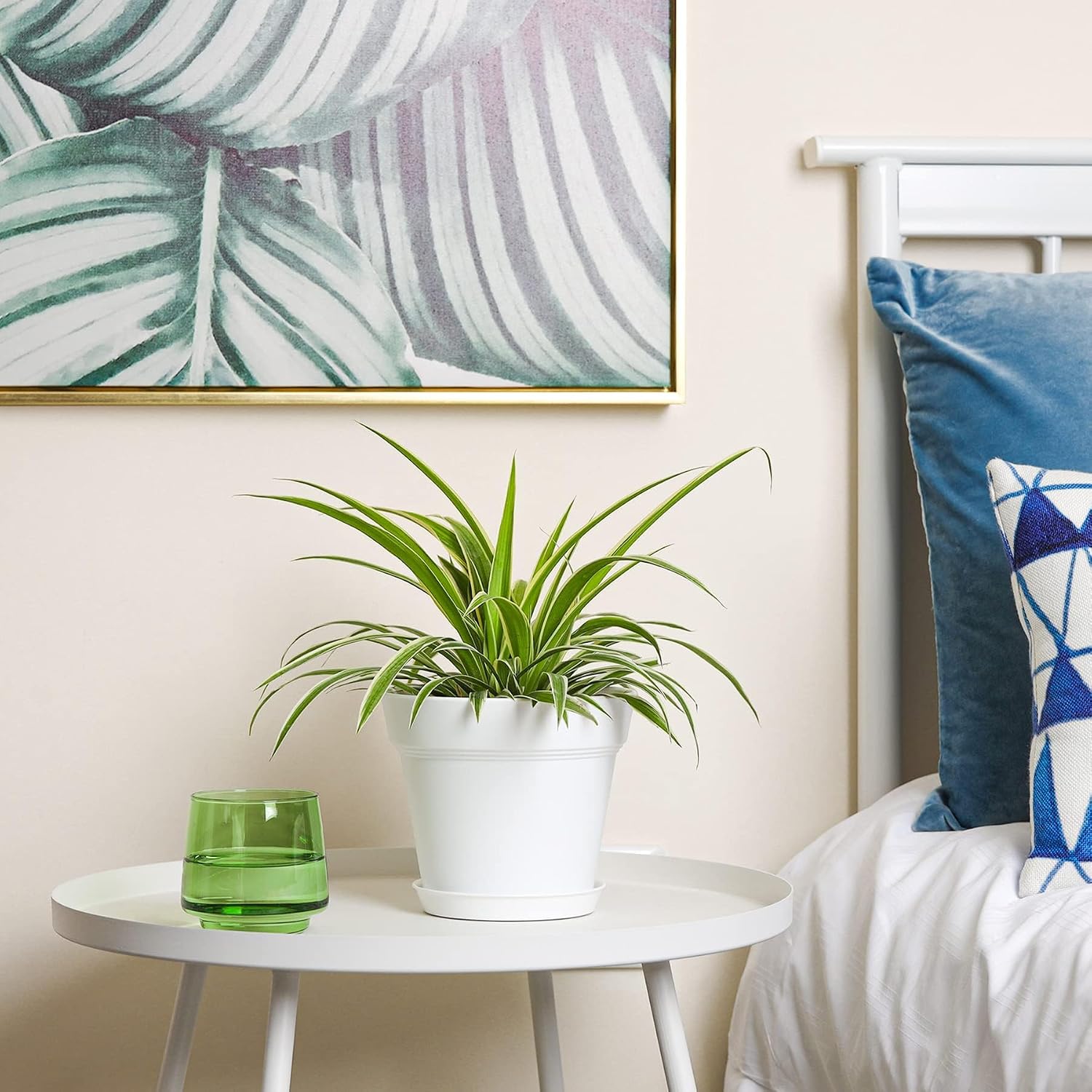 Thumbnail 6 de T4U Vaso da Interno 19 cm Set 6 con Sottovaso Possono Essere Utilizzati per Piante e Orchidee