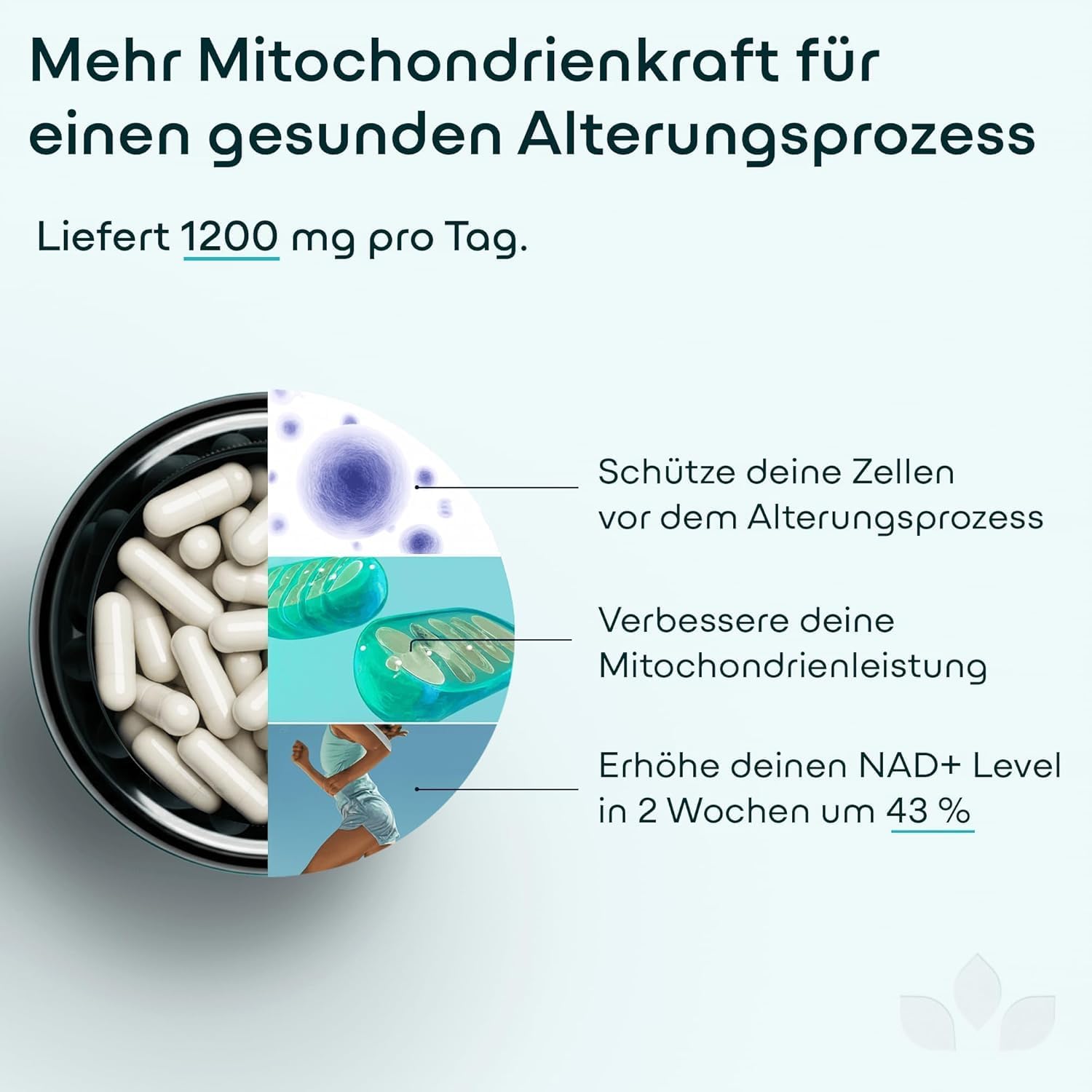 Thumbnail 2 de Nuri Green Lab NAD+ Komplex 1200 mg