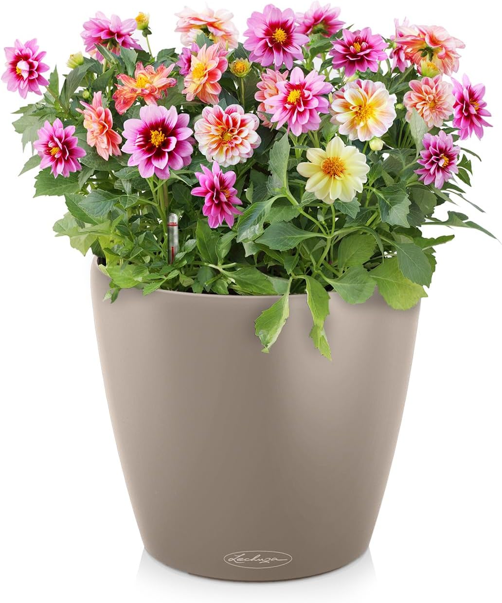 Detalle de LECHUZA CLASSICO Colore 21 marrone sabbia 13182 – Vaso autoirrigante tutto-in-uno