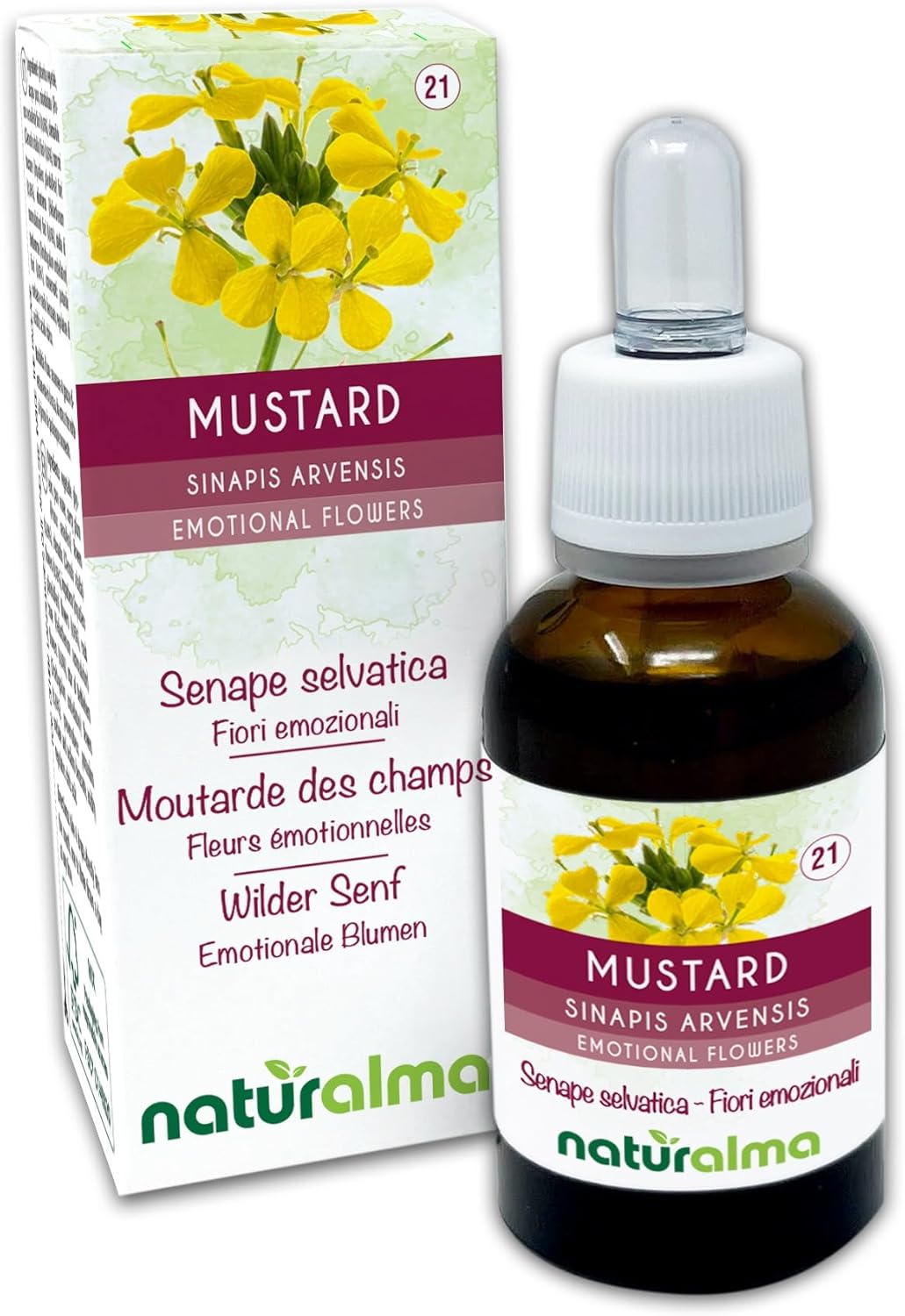 Detalle de Mustard o senape selvatica (Sinapis arvensis) Fiori emozionali Naturalma – Gocce 30 ml, estratto analcoolico