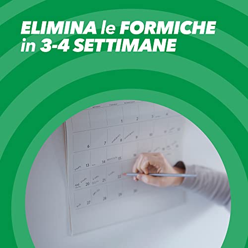 Thumbnail 2 de Baygon Esca Formiche – Confezione da 4 Esche per Interni ed Esterni