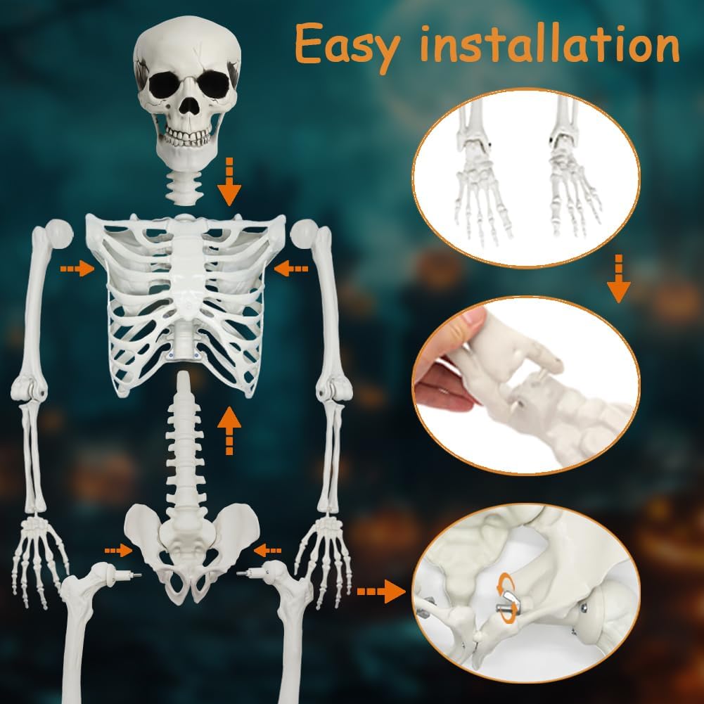 Detalle 1 de WODMAZ WSJZFH-165 Halloween Skeleton with Cat, 5.9-Ft Poseable Plastic Decor
