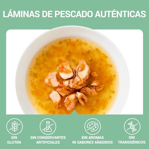 Detalle de Schesir Sopa con Filetes de Salmón y Zanahorias para Gatos – 12 x 40 g