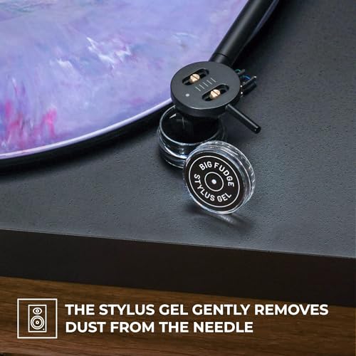 Detalle 2 de Big Fudge 5-in-1-Reinigungsset für Vinyl-Schallplatten – Komplettpaket inkl. Samtbürste, Reinigungsflüssigkeit, Stylus-Gel und Etui