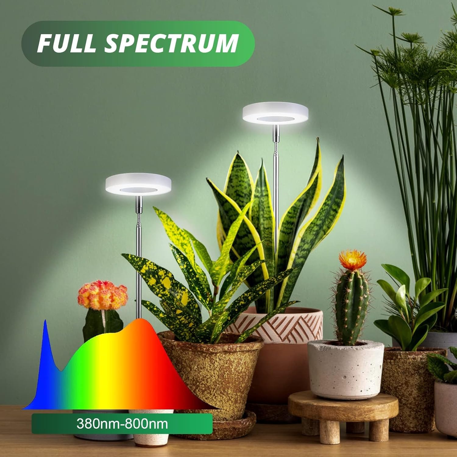 Detalle de Cieex 2er Pflanzenlampe Led Vollspektrum für Zimmerpflanzen – verstellbare Höhe, Timer und 4 Helligkeitsstufen