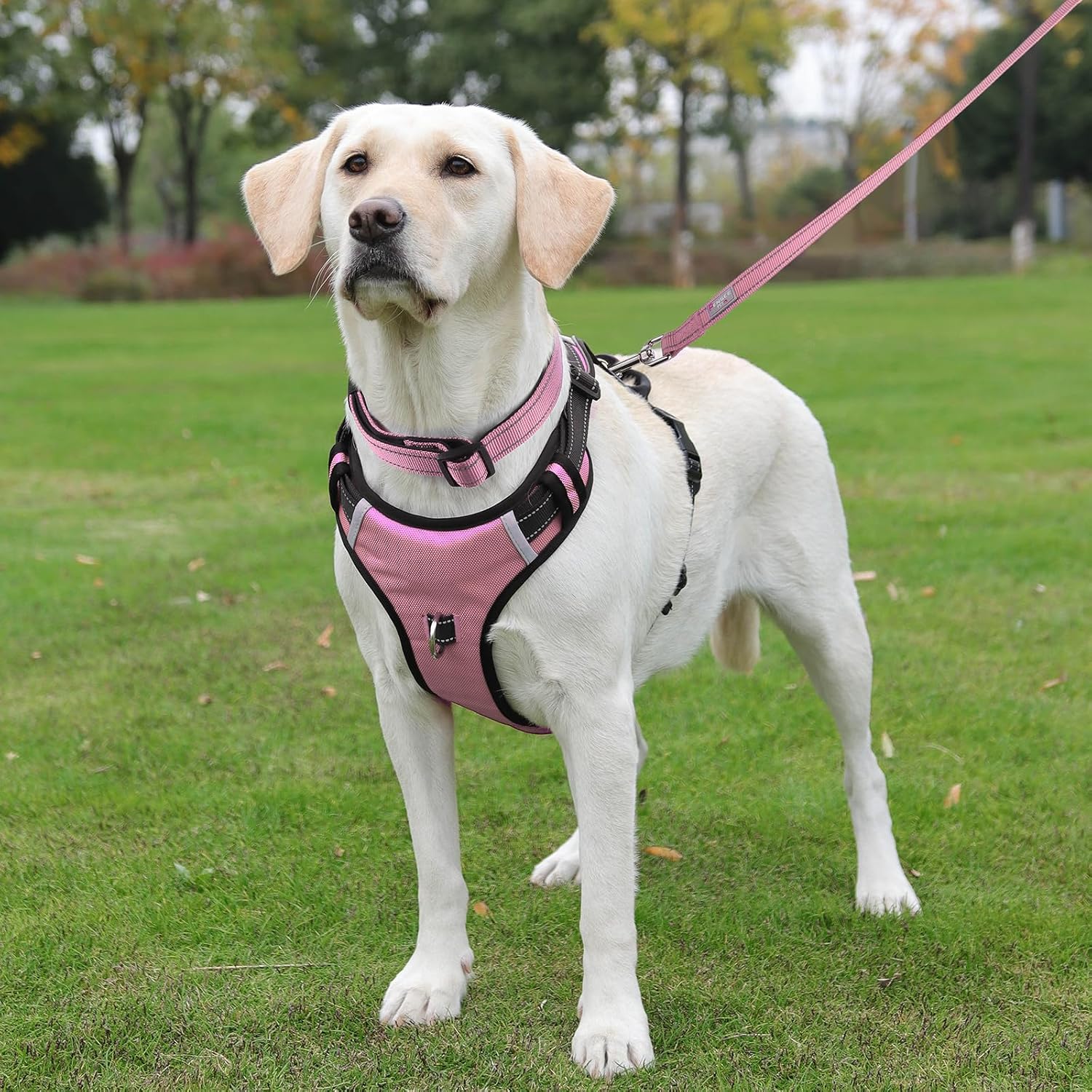 Detalle de PenSeepet Dog Harness, Nylon