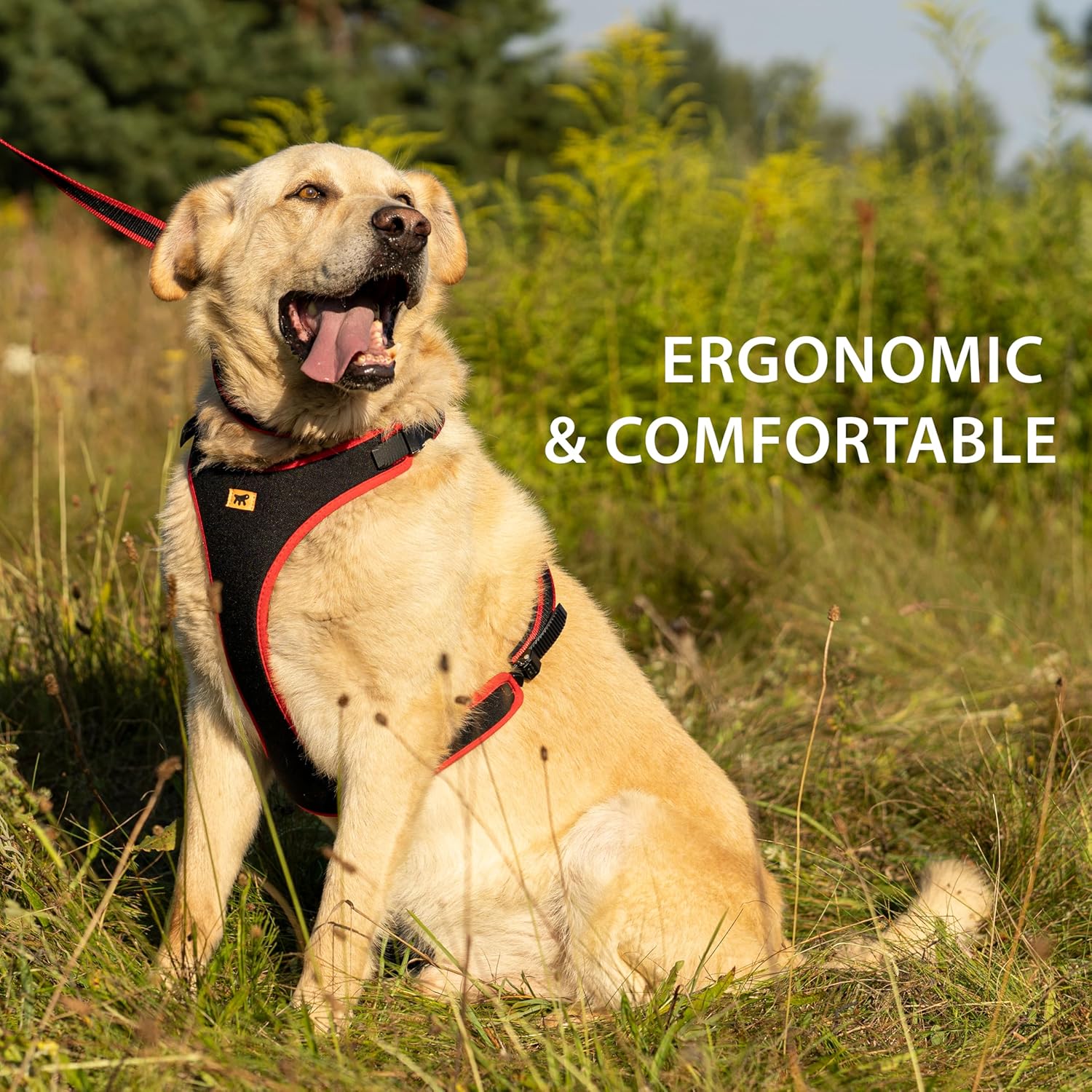 Thumbnail 2 de Ferplast ERGOCOMFORT Medium Dog Harness – Adjustable, Padded and Quick Release (Red)