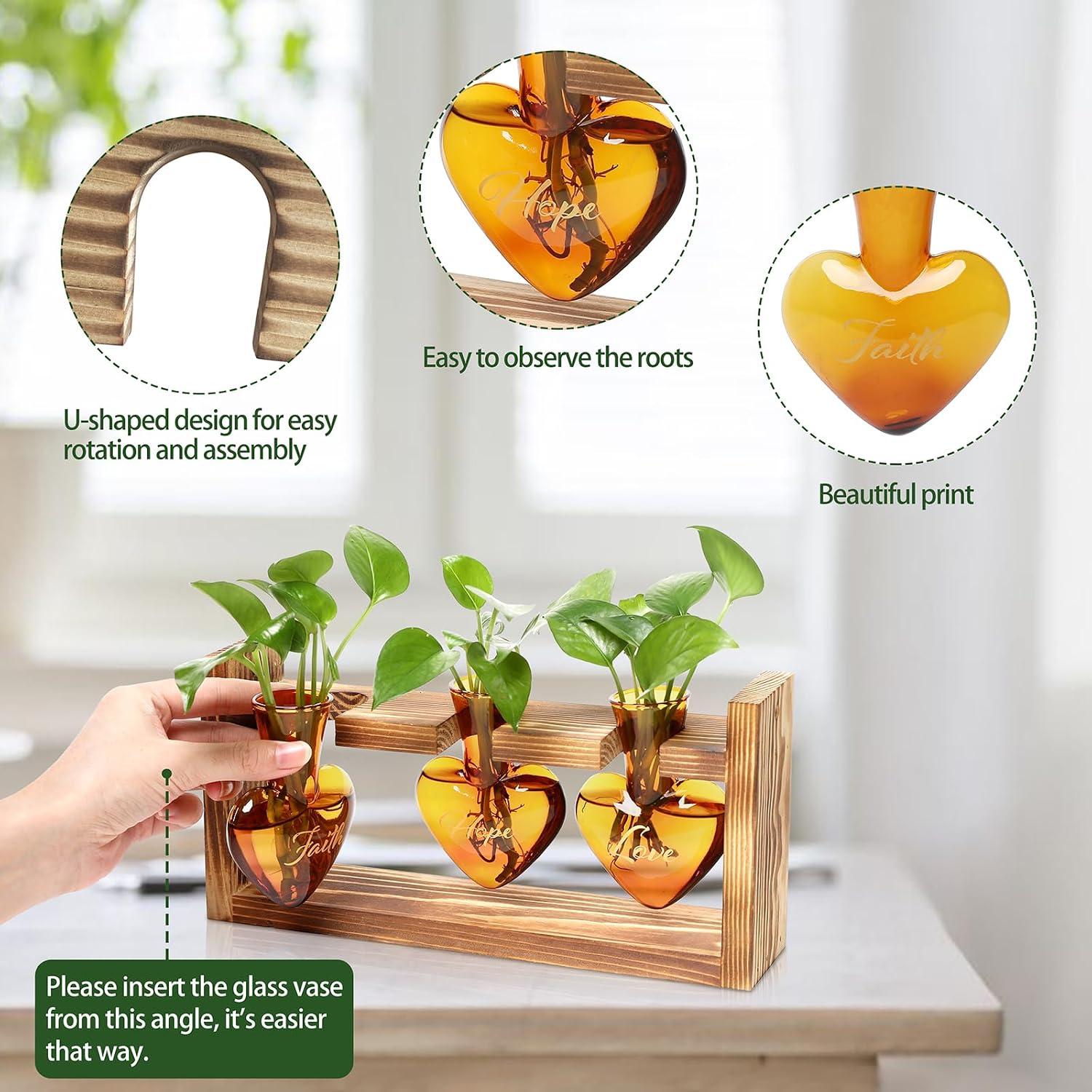 Detalle 2 de Plant Propagation Station, Heart-Shaped Glass