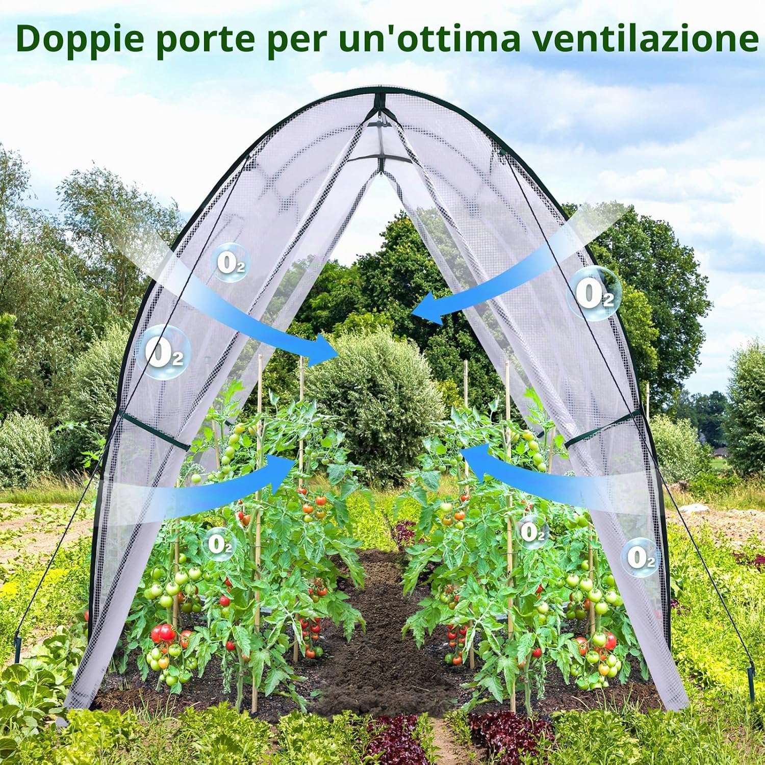 Detalle 2 de Ohuhu Serra da Giardino 180x180x200 cm – Serra a Tunnel con Finestre e Copertura in PE per Esterni