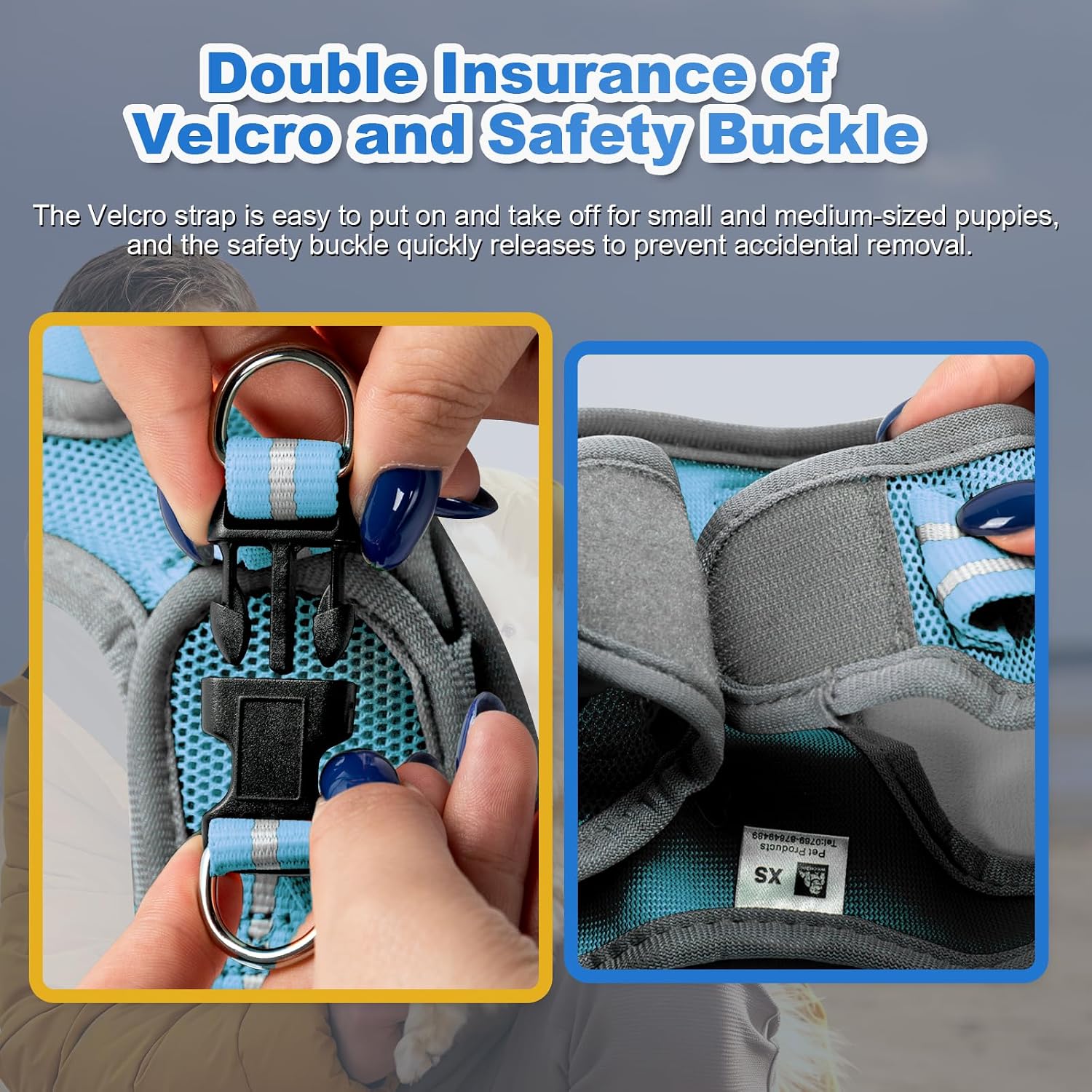 Detalle 2 de Dog Harness and Leash Set, Size S