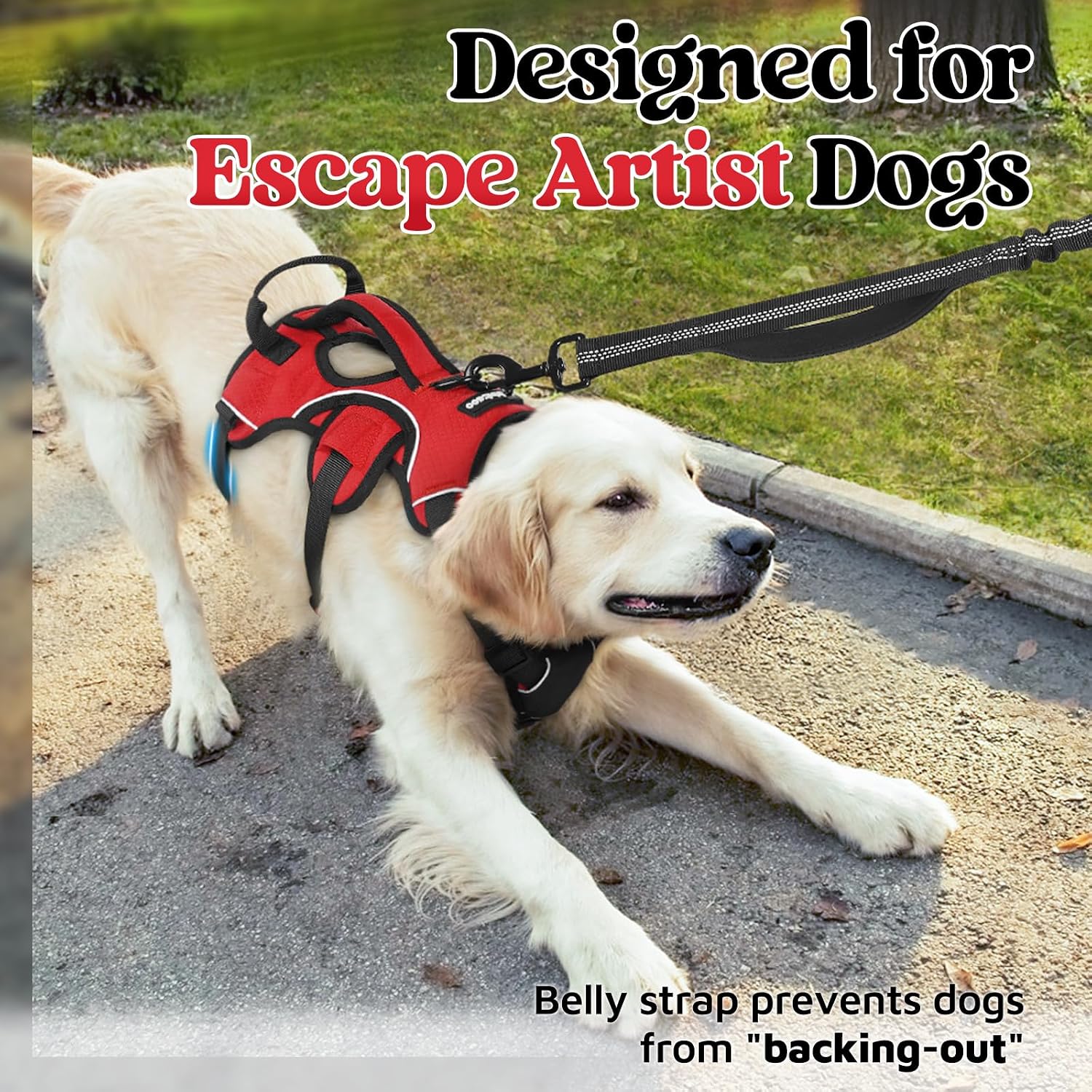 Detalle de Rabbitgoo Escape Proof Dog Harness Medium with Large Handle – Secure Lift Assist and Anti-Pull