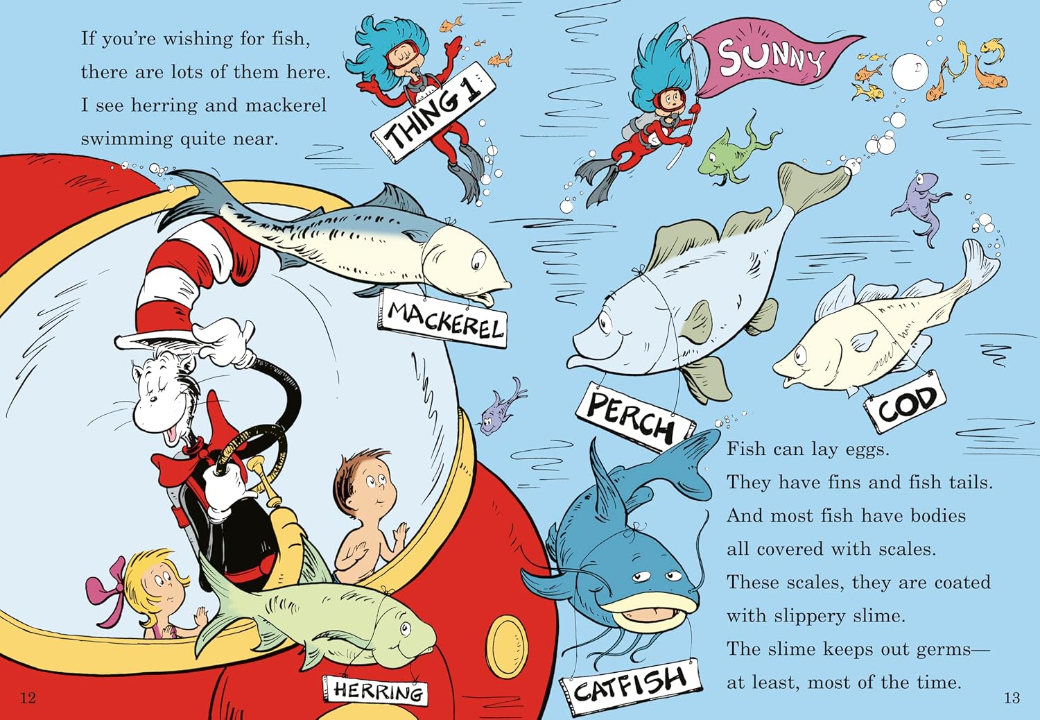 Detalle 2 de Wish for a Fish: All About Sea Creatures children’s book