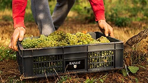 Detalle de Raimat Cava Ecológico Brut Nature 🍾 75cl Chardonnay y Xarel.lo