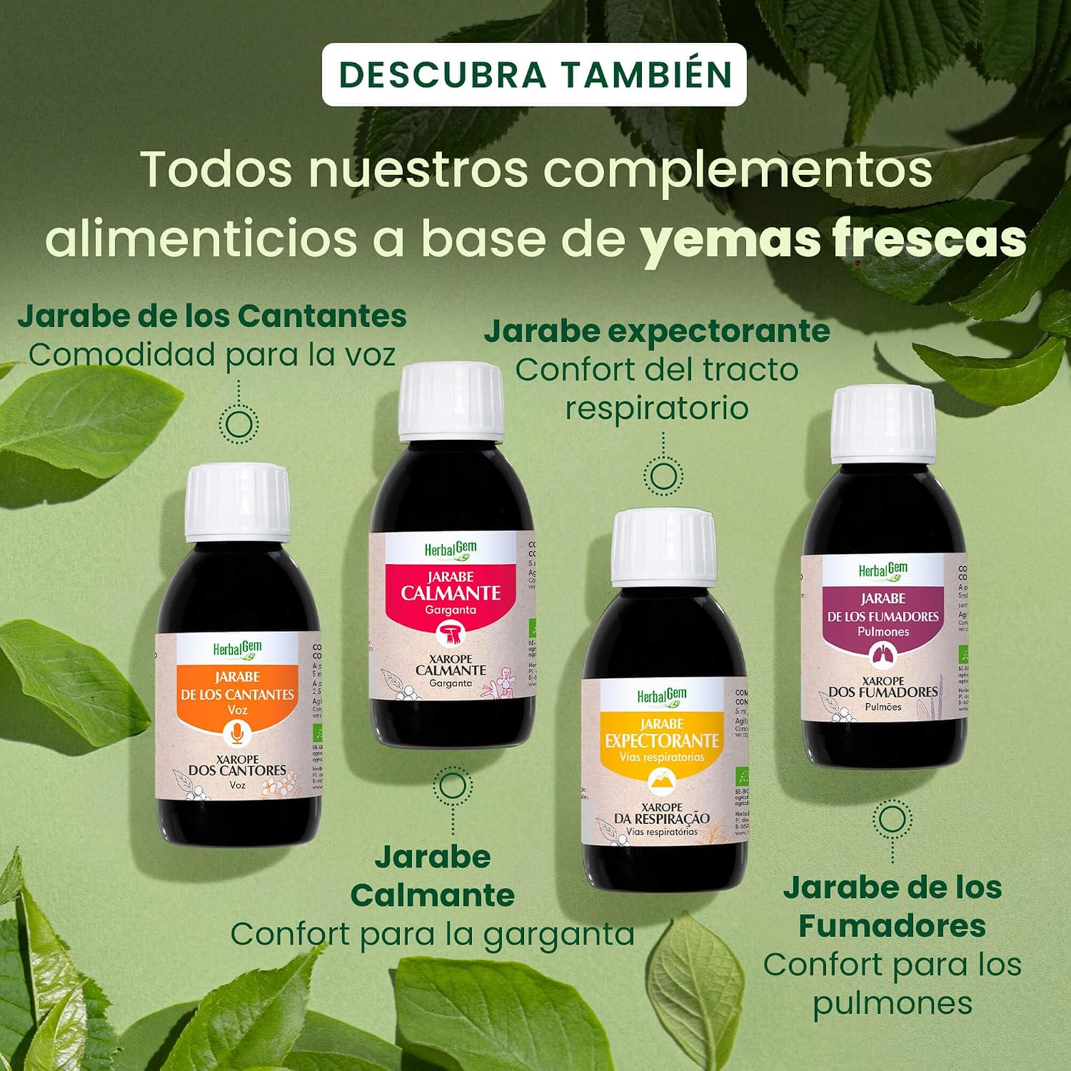 Thumbnail 6 de HERBALGEM Jarabe de los Cantantes 🌿 - Vocales Saludables 250ml