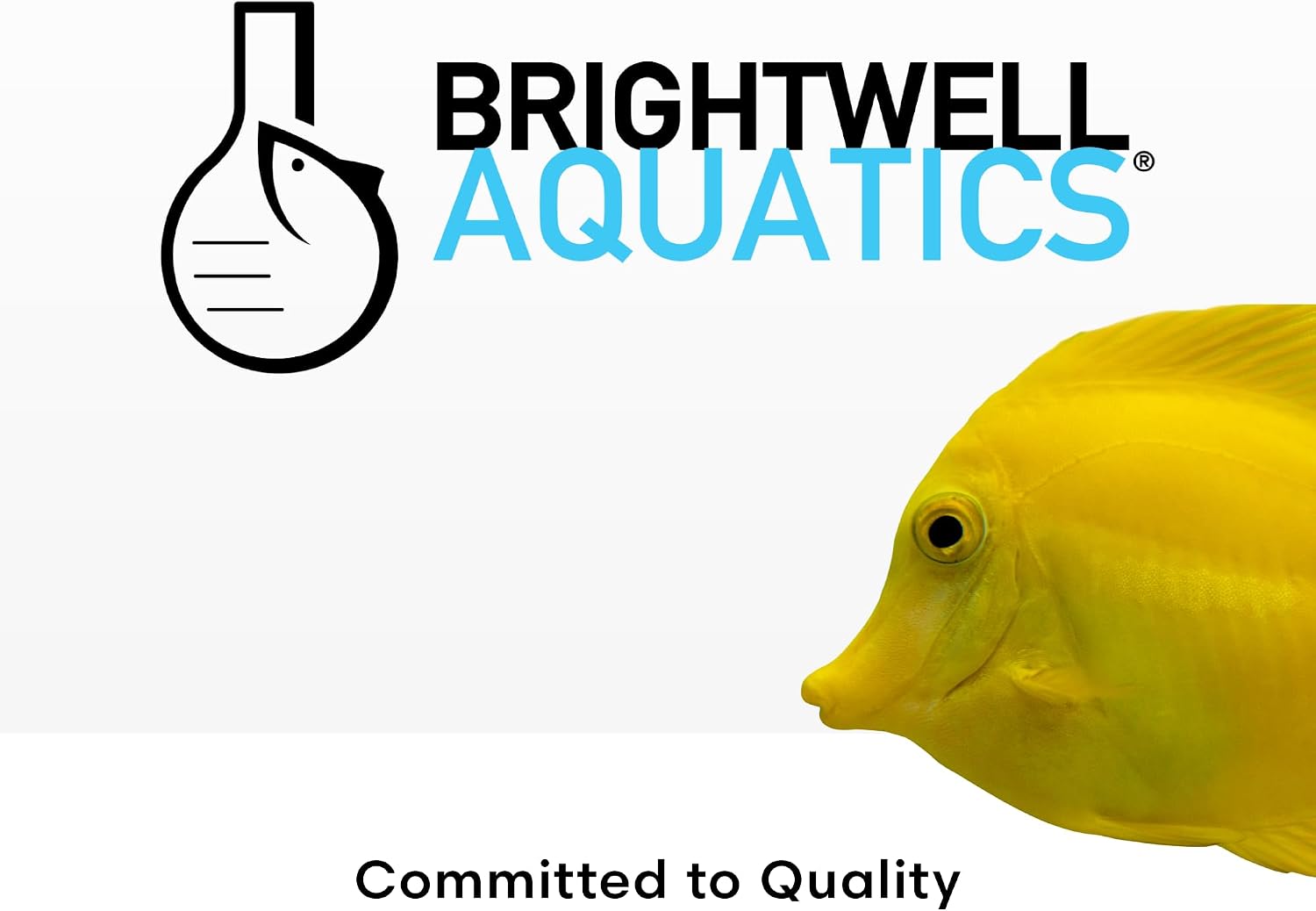 Thumbnail 6 de Brightwell Aquatics ChaetoGro カエトモルファ用液体栄養剤 13元素配合・硝酸塩／リン酸塩不含