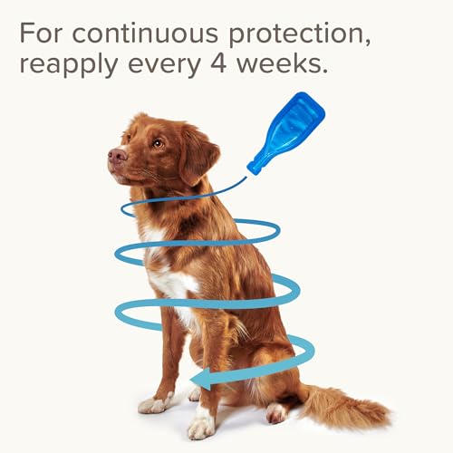 Detalle de Beaphar FIPROtec Spot-On for Medium Dogs (10–20 kg) – 6 Pipettes