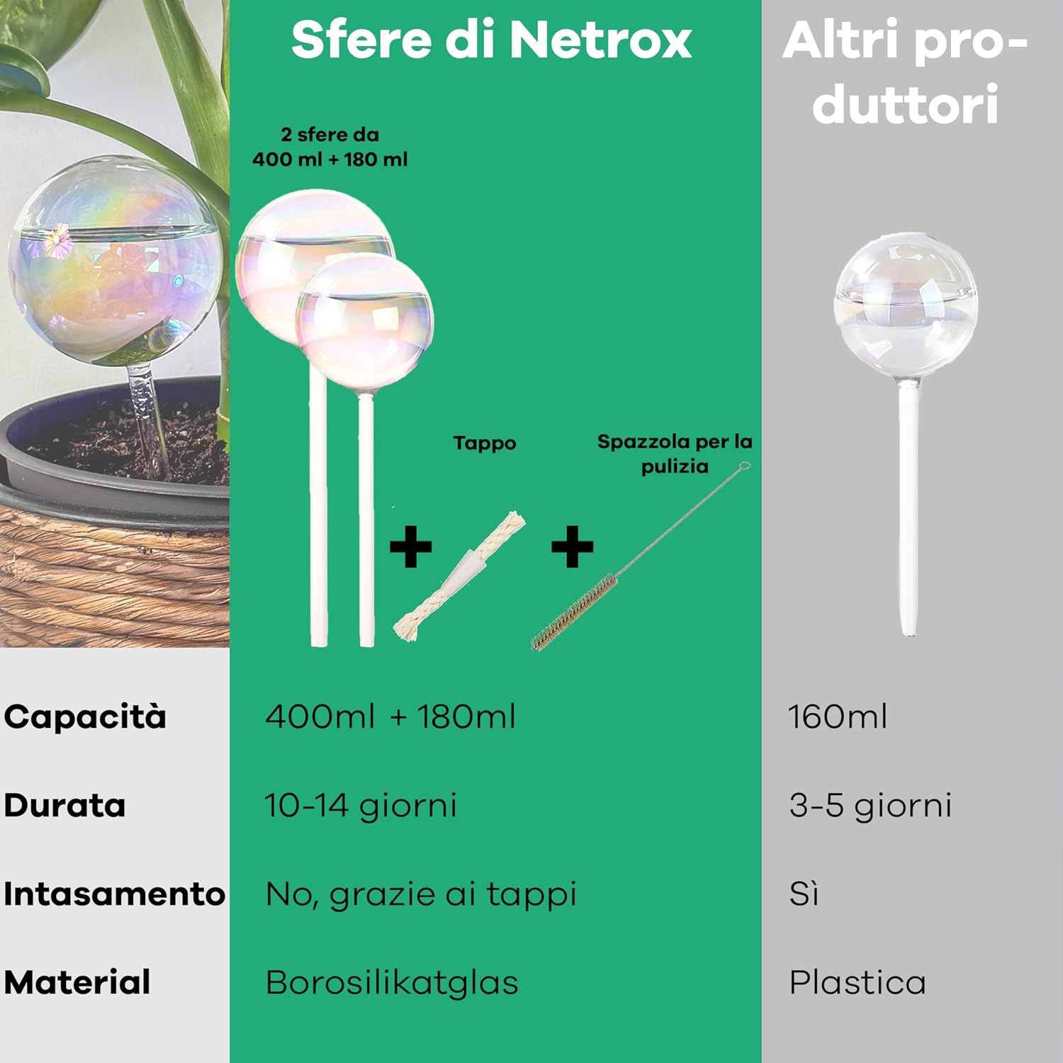 Detalle de Netrox - 2 Bulbi Autoirriganti in Vetro spesso: irrigazione semplice e autoctona per vasi e balconi