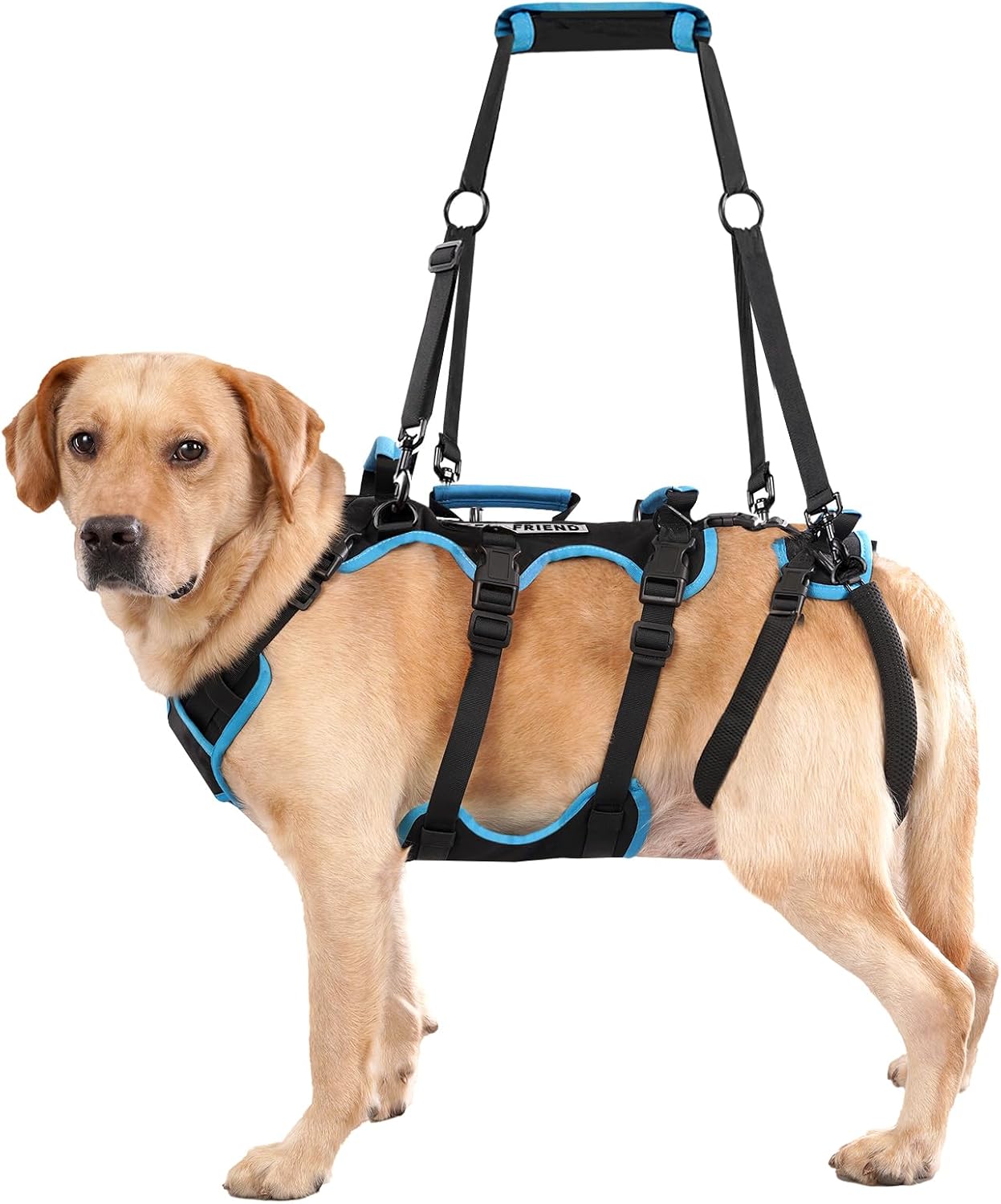 Detalle de Lafoty harnais 2-en-1 pour chiens âgés ⚙