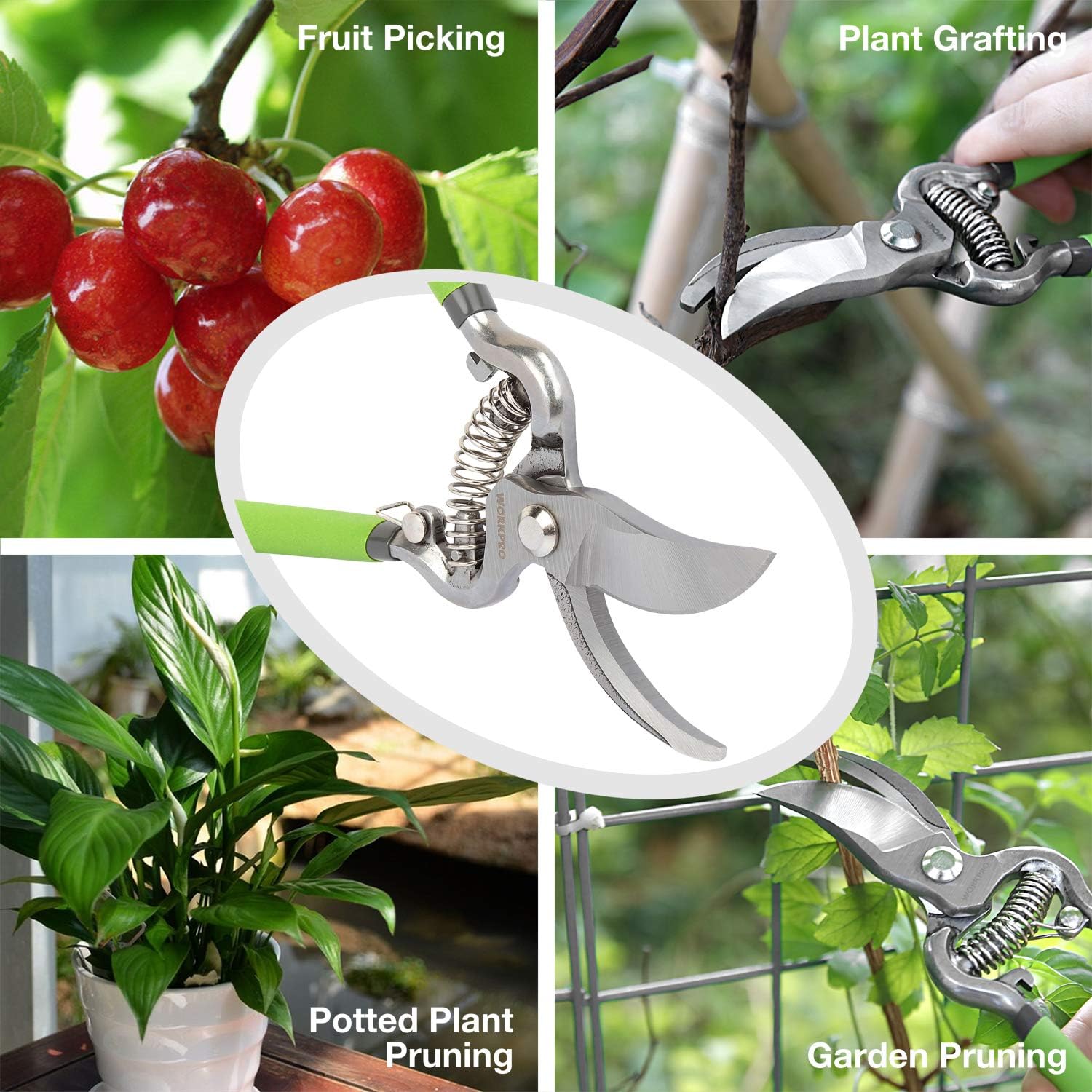 Detalle de WORKPRO 2-Piece 200 mm Pruning Shears Set (200 mm pruning shears + 200 mm grape shears)