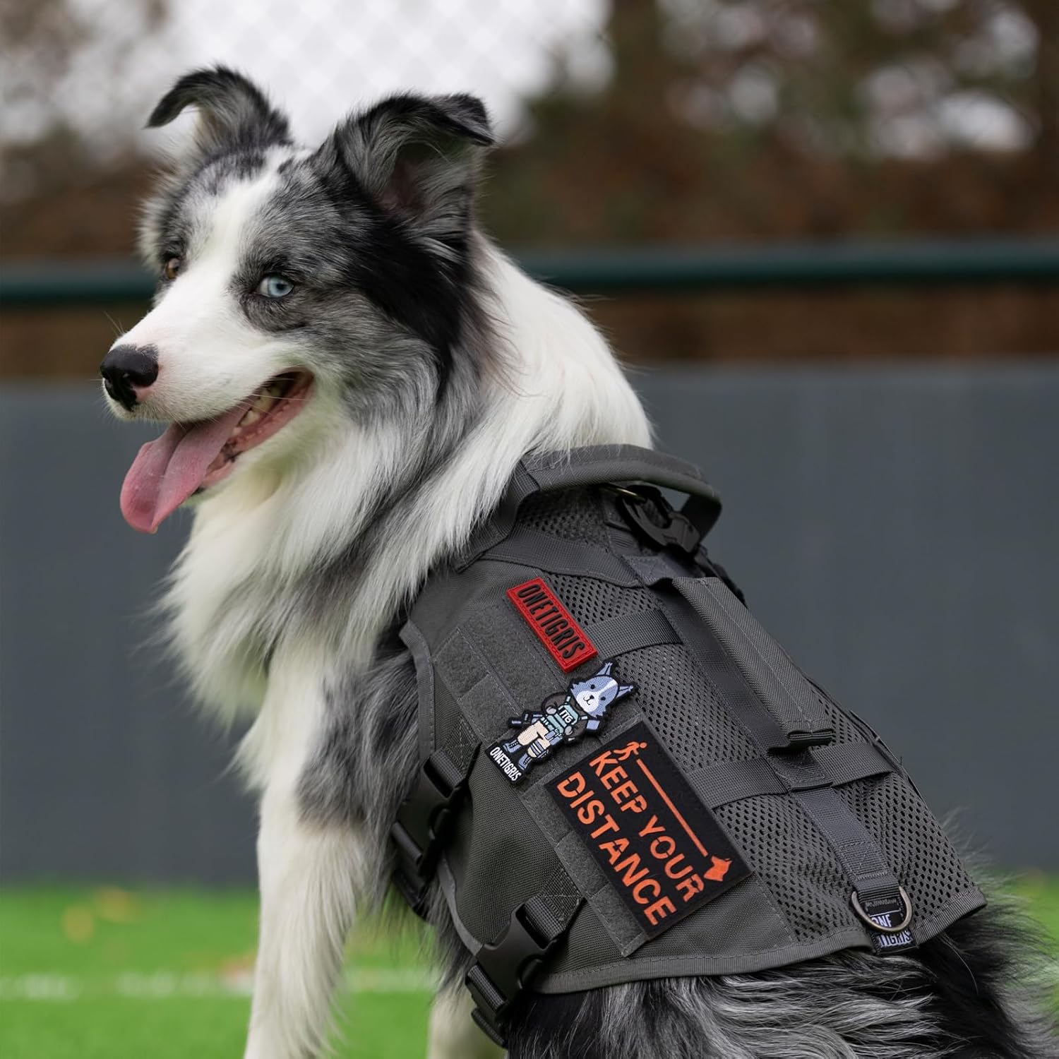 Thumbnail 5 de OneTigris AIRE MESH Hundegeschirr L für 27-41 kg