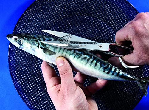 Thumbnail 4 de ARCOS Ecopro 200 mm — tijeras de cocina ergonómicas