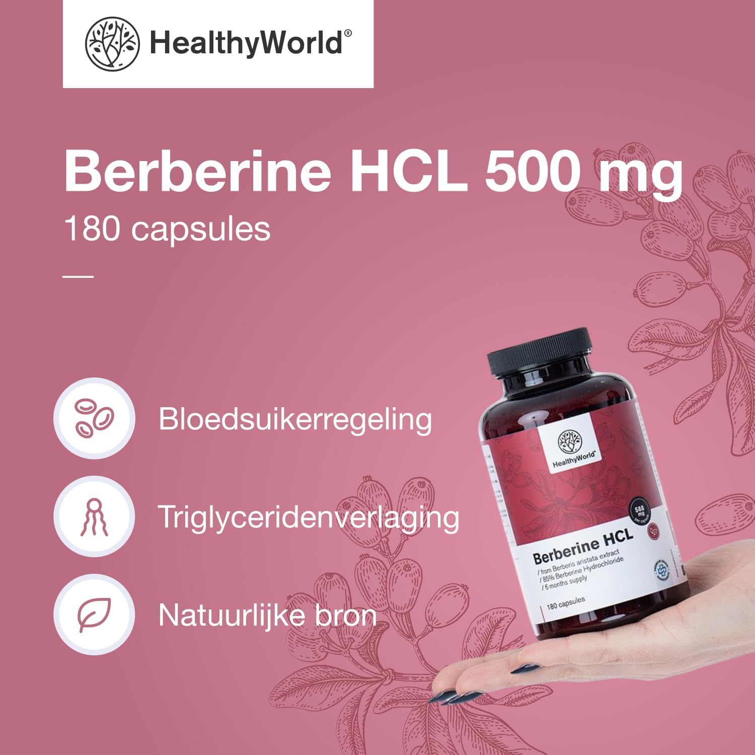Detalle 2 de HealthyWorld Berberine HCL 500 mg plantaardige capsules, 180 stuks